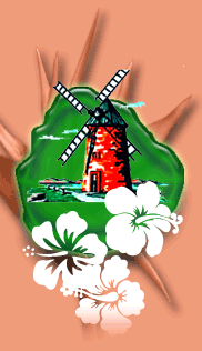 balisier